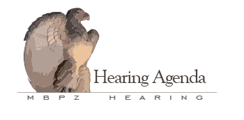 MBPZ hearing-agenda-identifying graphic